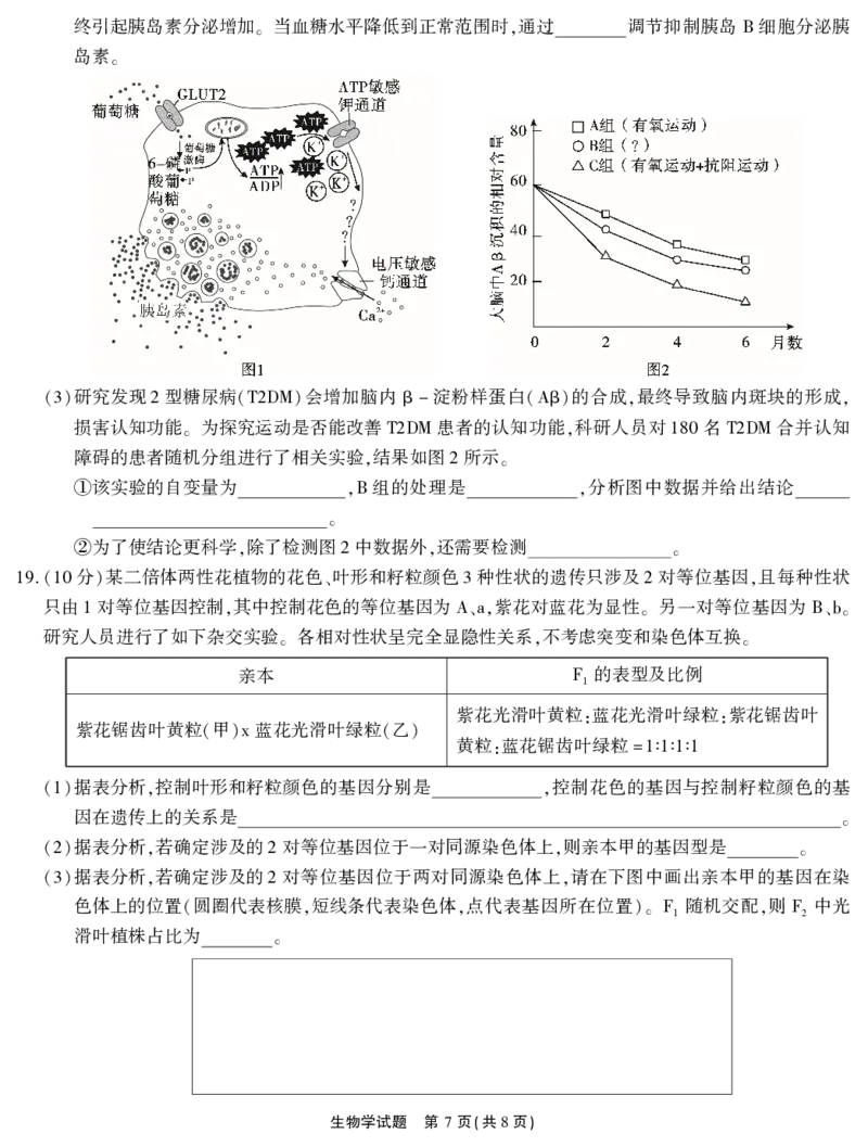 2026届高三4月模拟考试生物_2024-2026高三（6-6月题库）_2026年04月高三试卷_260419安徽省江淮十校2026届高三下学期4月模拟考试（安庆市高三三模）（全科）
