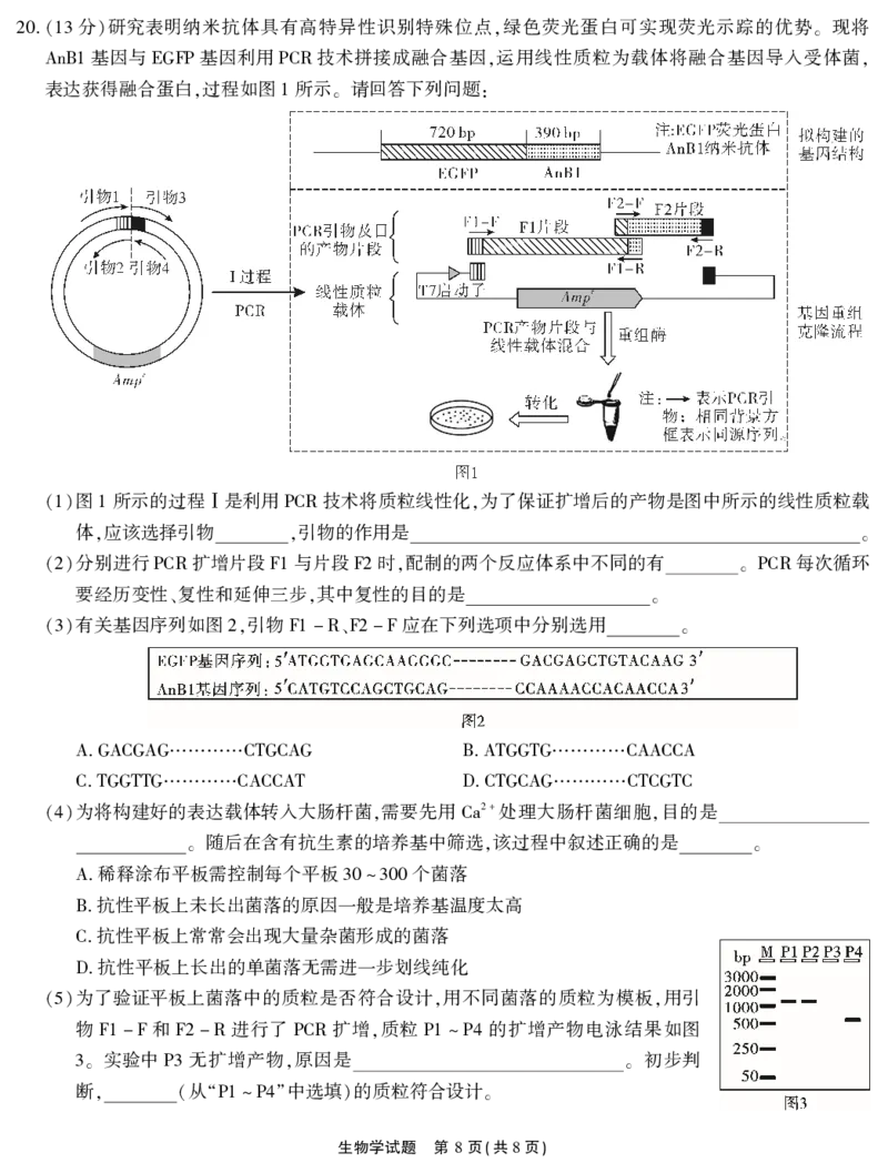 2026届高三4月模拟考试生物_2024-2026高三（6-6月题库）_2026年04月高三试卷_260419安徽省江淮十校2026届高三下学期4月模拟考试（安庆市高三三模）（全科）
