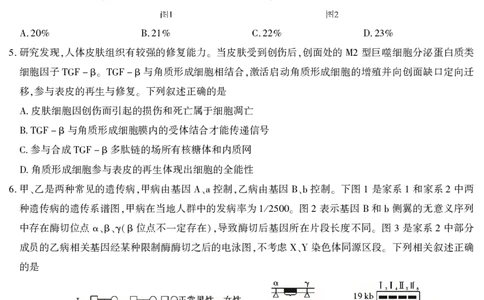 2026届高三4月模拟考试生物_2024-2026高三（6-6月题库）_2026年04月高三试卷_260419安徽省江淮十校2026届高三下学期4月模拟考试（安庆市高三三模）（全科）