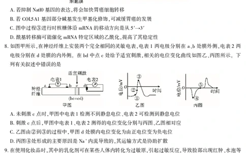 2026届高三4月模拟考试生物_2024-2026高三（6-6月题库）_2026年04月高三试卷_260419安徽省江淮十校2026届高三下学期4月模拟考试（安庆市高三三模）（全科）
