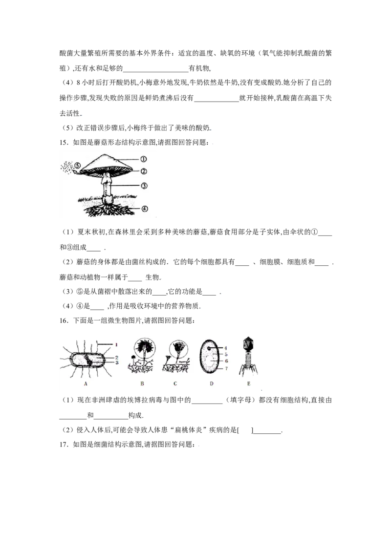 第四章细菌和真菌过关测试-（人教版）（原卷版）_初中全科电子版试卷练习试题_生物_生物8上练习_人教生物8年级上单元试卷48份