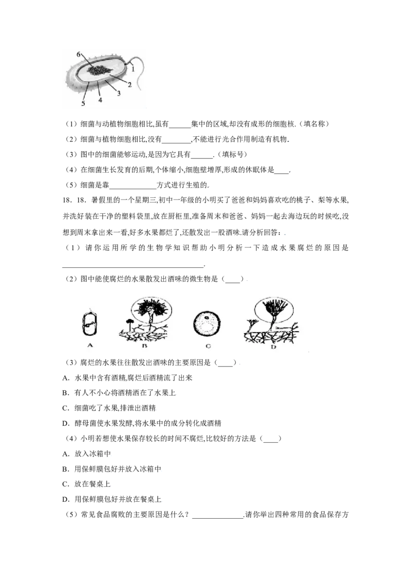 第四章细菌和真菌过关测试-（人教版）（原卷版）_初中全科电子版试卷练习试题_生物_生物8上练习_人教生物8年级上单元试卷48份