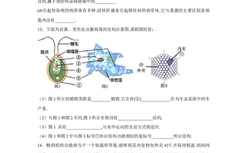 第四章细菌和真菌过关测试-（人教版）（原卷版）_初中全科电子版试卷练习试题_生物_生物8上练习_人教生物8年级上单元试卷48份