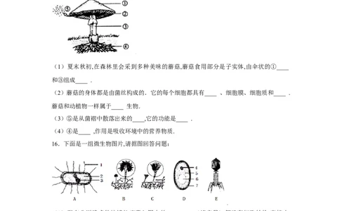 第四章细菌和真菌过关测试-（人教版）（原卷版）_初中全科电子版试卷练习试题_生物_生物8上练习_人教生物8年级上单元试卷48份