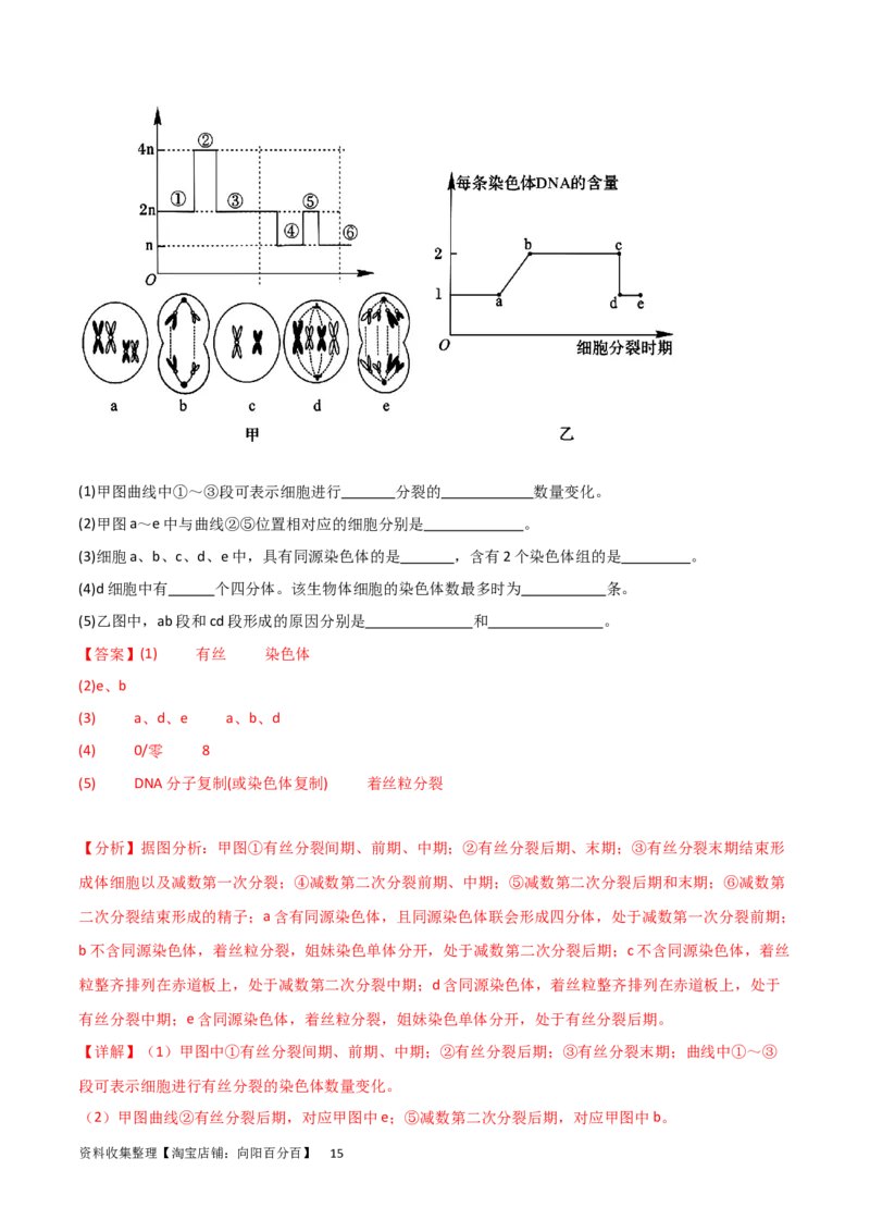 单元检测卷04细胞的生命历程（解析版）_新高考复习资料_2024年新高考复习资料_一轮复习资料_完2024年高考生物一轮复习考点通关卷（新高考）_单元检测卷04细胞的生命历程