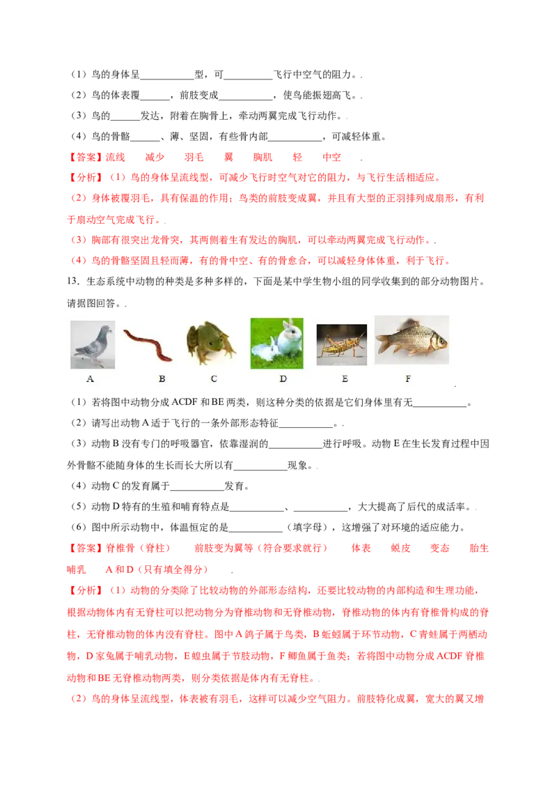 第五单元（第一章）动物的主要类群（提分小卷）-（人教版）（解析版）_初中全科电子版试卷练习试题_生物_生物8上练习_人教生物8年级上单元试卷48份