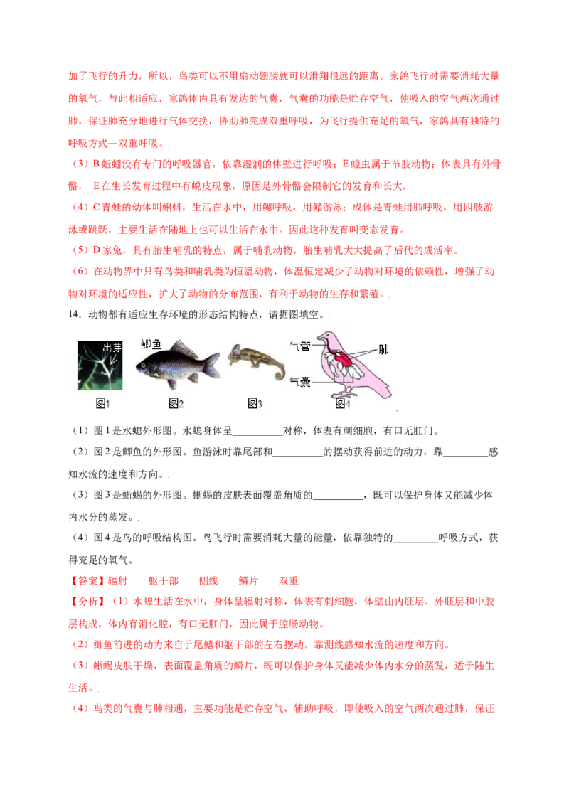 第五单元（第一章）动物的主要类群（提分小卷）-（人教版）（解析版）_初中全科电子版试卷练习试题_生物_生物8上练习_人教生物8年级上单元试卷48份