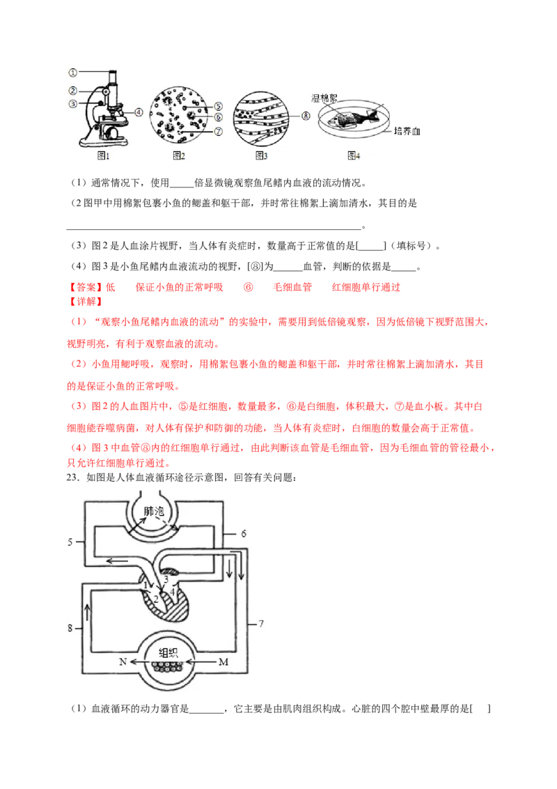 第四章人体内物质的运输（基础过关）-（人教版）（解析版）_初中全科电子版试卷练习试题_生物_生物人教版7下练习_人教生物7年级下单元试卷33份
