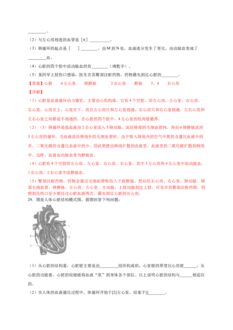 第四章人体内物质的运输（基础过关）-（人教版）（解析版）_初中全科电子版试卷练习试题_生物_生物人教版7下练习_人教生物7年级下单元试卷33份
