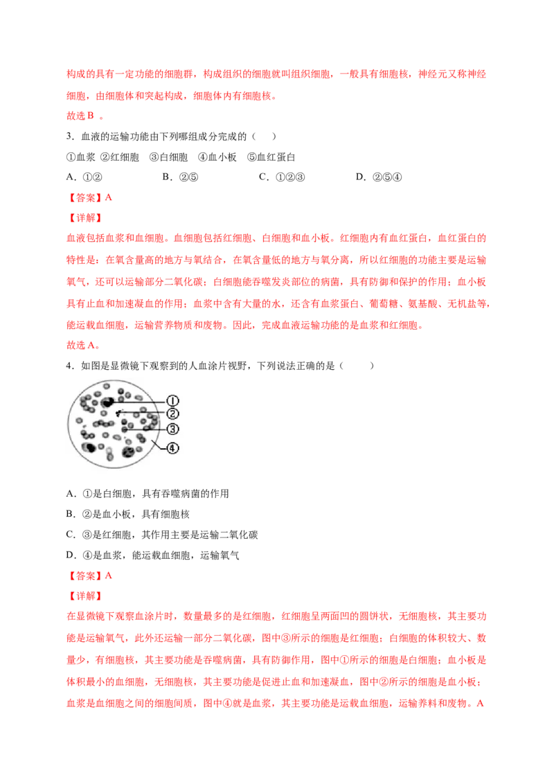 第四章人体内物质的运输（基础过关）-（人教版）（解析版）_初中全科电子版试卷练习试题_生物_生物人教版7下练习_人教生物7年级下单元试卷33份