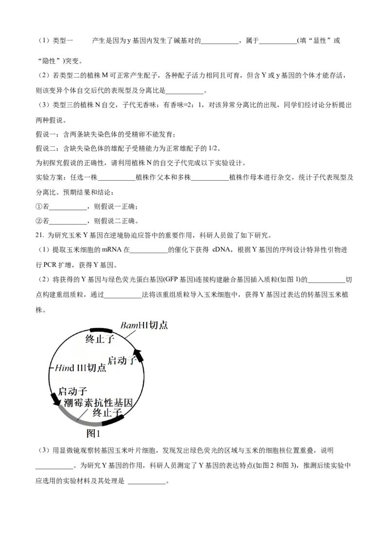 2026届陕西省西安中学高三第三次模拟考试生物试卷Word版无答案_2024-2026高三（6-6月题库）_2026年04月高三试卷_260405陕西省西安中学2026届高三下学期第三次模拟考试