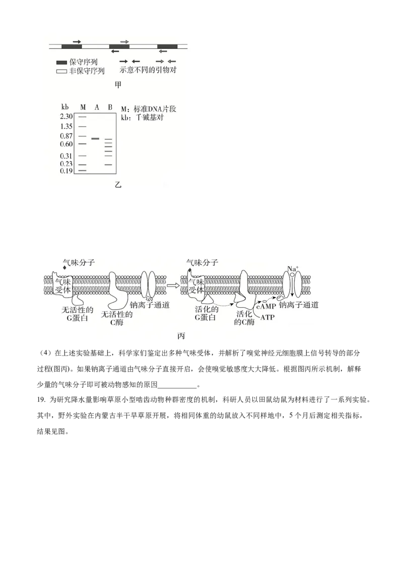 2026届陕西省西安中学高三第三次模拟考试生物试卷Word版无答案_2024-2026高三（6-6月题库）_2026年04月高三试卷_260405陕西省西安中学2026届高三下学期第三次模拟考试