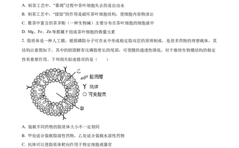 2026届陕西省西安中学高三第三次模拟考试生物试卷Word版无答案_2024-2026高三（6-6月题库）_2026年04月高三试卷_260405陕西省西安中学2026届高三下学期第三次模拟考试