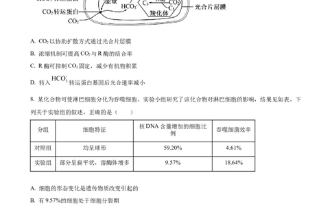 2026届陕西省西安中学高三第三次模拟考试生物试卷Word版无答案_2024-2026高三（6-6月题库）_2026年04月高三试卷_260405陕西省西安中学2026届高三下学期第三次模拟考试
