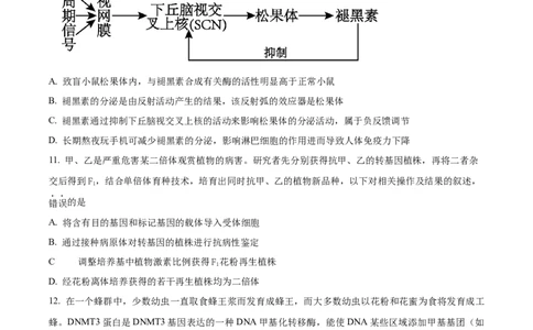 2026届陕西省西安中学高三第三次模拟考试生物试卷Word版无答案_2024-2026高三（6-6月题库）_2026年04月高三试卷_260405陕西省西安中学2026届高三下学期第三次模拟考试