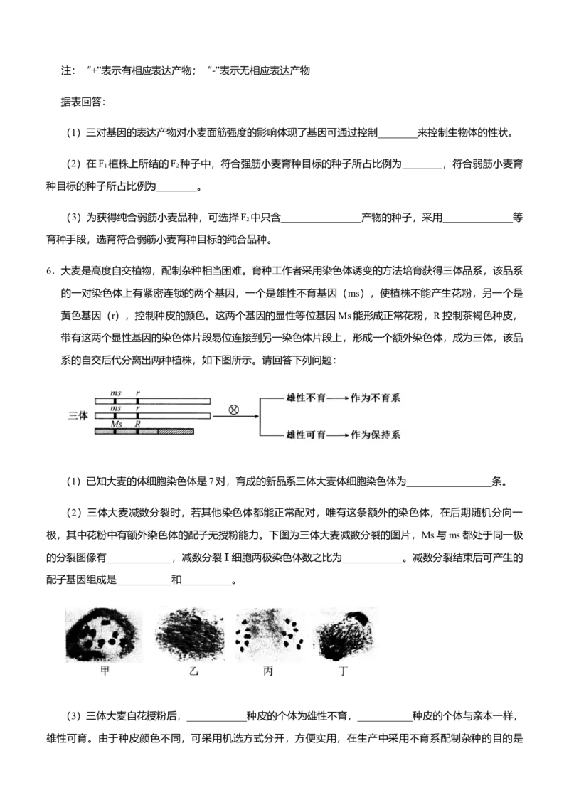 原创2021届高三大题优练5遗传的细胞基础与分子基础、生物变异与育种学生版_通用版（老高考）复习资料_2023年复习资料_专项复习_2023《微专题&middot;小练习》&middot;生物_模拟题