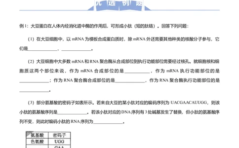 原创2021届高三大题优练5遗传的细胞基础与分子基础、生物变异与育种学生版_通用版（老高考）复习资料_2023年复习资料_专项复习_2023《微专题&middot;小练习》&middot;生物_模拟题