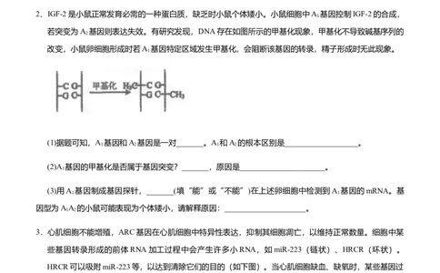 原创2021届高三大题优练5遗传的细胞基础与分子基础、生物变异与育种学生版_通用版（老高考）复习资料_2023年复习资料_专项复习_2023《微专题&middot;小练习》&middot;生物_模拟题