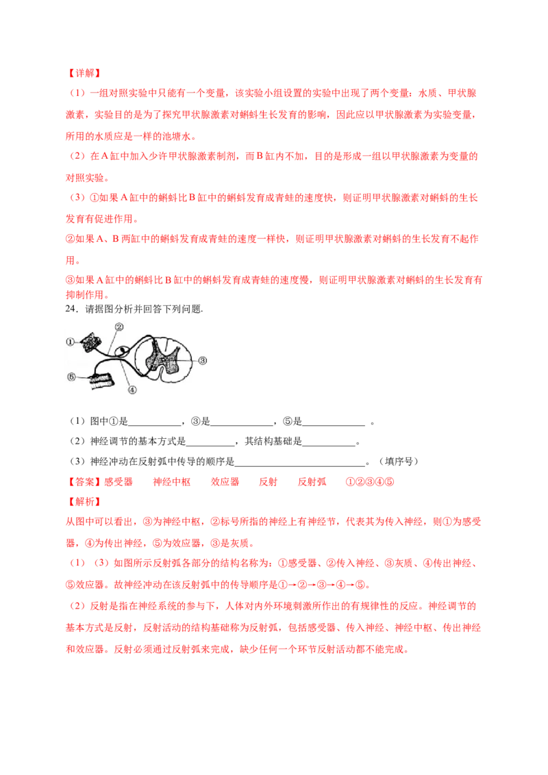 第五、六章人体内废物的排出和对生命活动的调节（基础过关）-（人教版）（解析版）_初中全科电子版试卷练习试题_生物_生物人教版7下练习_人教生物7年级下单元试卷33份