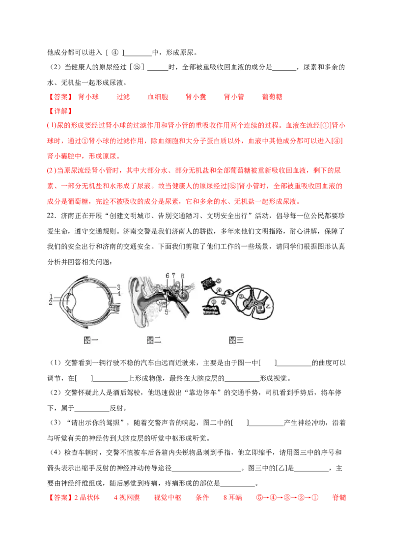 第五、六章人体内废物的排出和对生命活动的调节（基础过关）-（人教版）（解析版）_初中全科电子版试卷练习试题_生物_生物人教版7下练习_人教生物7年级下单元试卷33份