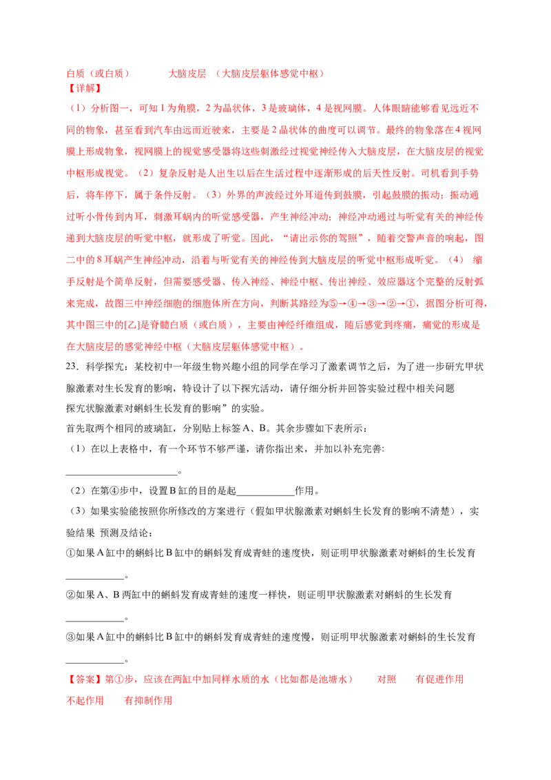 第五、六章人体内废物的排出和对生命活动的调节（基础过关）-（人教版）（解析版）_初中全科电子版试卷练习试题_生物_生物人教版7下练习_人教生物7年级下单元试卷33份