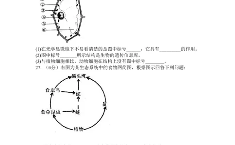 第三次月考试题3含答案_初中全科电子版试卷练习试题_生物_生物人教版7上练习&mdash;24新版已更新_人教生物7年级上月考试卷04份
