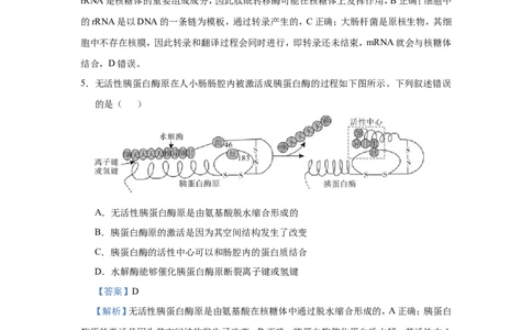 原创（新高考）2021届小题必练4酶与ATP教师版_新高考复习资料_2021年新高考资料_2021届（新高考）高考生物小题必练_原创（新高考）2021届小题必练4酶与ATP