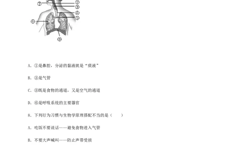 第三章人体的呼吸（能力提升）-（人教版）（原卷版）_初中全科电子版试卷练习试题_生物_生物人教版7下练习_人教生物7年级下单元试卷33份