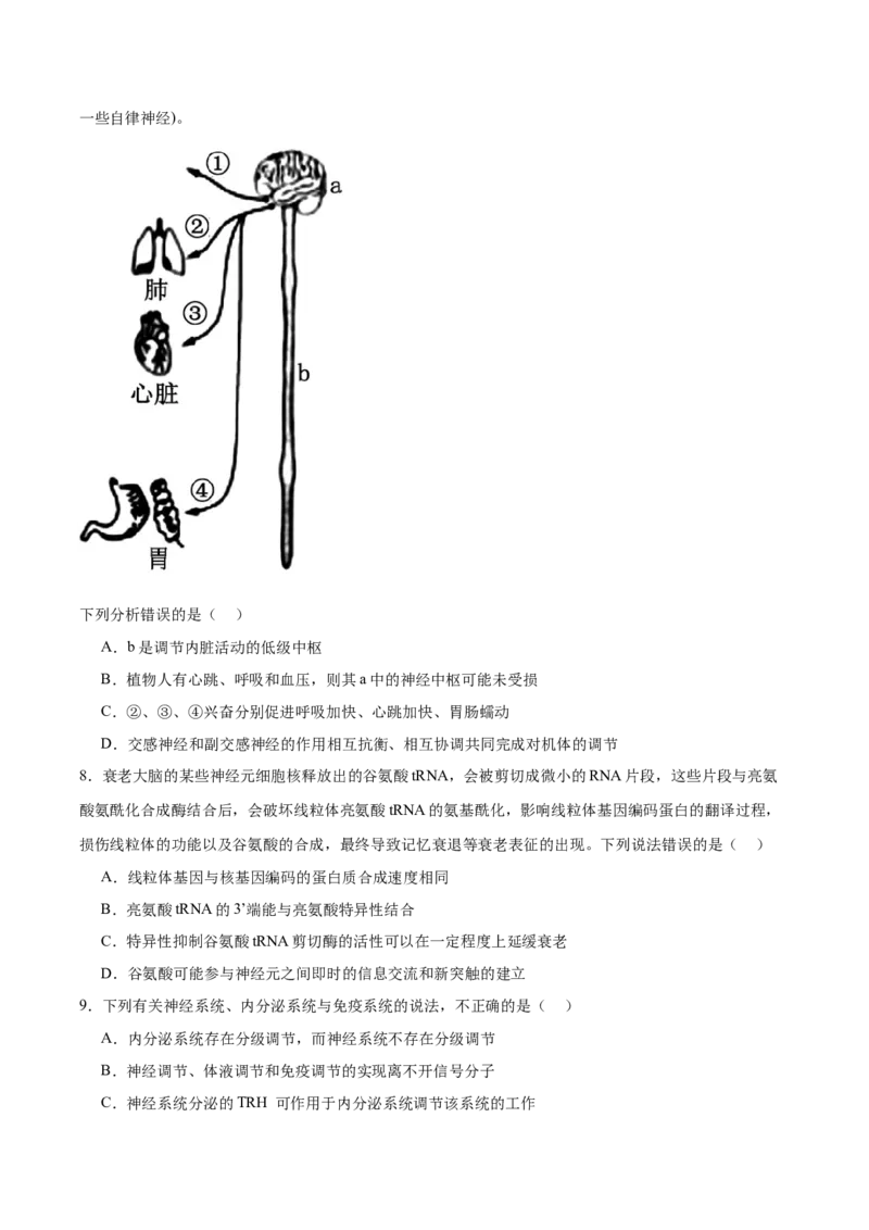 单元检测卷08稳态与调节（原卷版）_2025年新高考资料_一轮复习_2025年高考生物一轮复习考点通关卷（新高考通用）