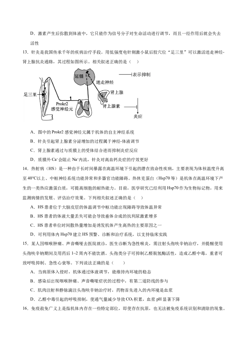 单元检测卷08稳态与调节（原卷版）_2025年新高考资料_一轮复习_2025年高考生物一轮复习考点通关卷（新高考通用）