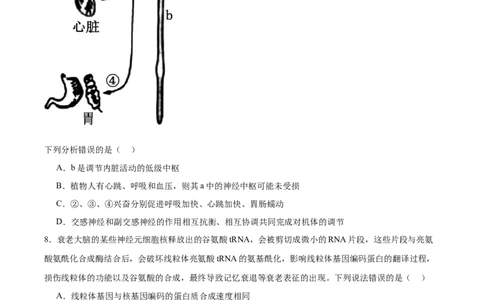 单元检测卷08稳态与调节（原卷版）_2025年新高考资料_一轮复习_2025年高考生物一轮复习考点通关卷（新高考通用）