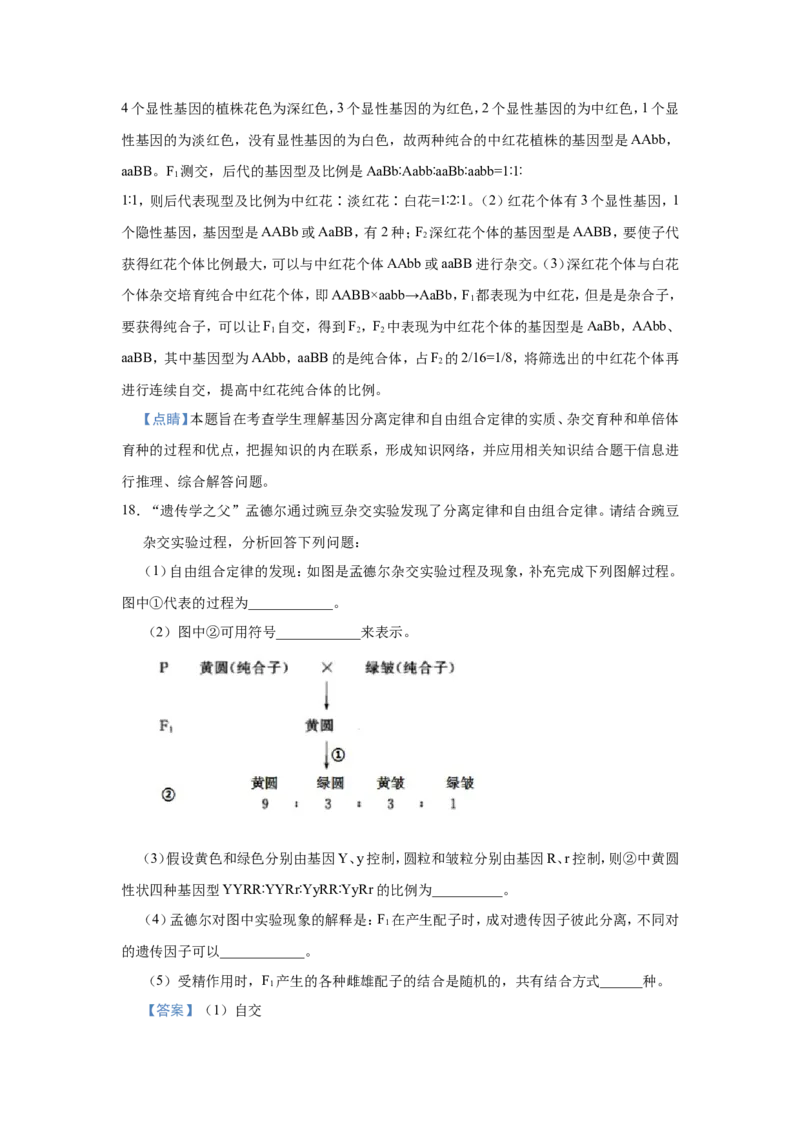 原创（新高考）2021届小题必练10基因的自由组合定律教师版_新高考复习资料_2021年新高考资料_2021届（新高考）高考生物小题必练