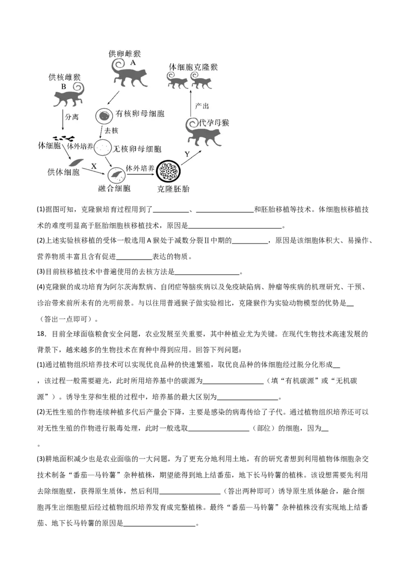 单元检测卷10生物技术与工程（原卷版）_新高考复习资料_2024年新高考复习资料_一轮复习资料_完2024年高考生物一轮复习考点通关卷（新高考）_单元检测卷10生物技术与工程