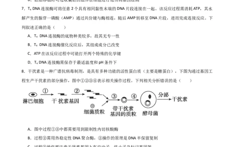 单元检测卷10生物技术与工程（原卷版）_新高考复习资料_2024年新高考复习资料_一轮复习资料_完2024年高考生物一轮复习考点通关卷（新高考）_单元检测卷10生物技术与工程