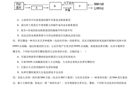 单元检测卷10生物技术与工程（原卷版）_新高考复习资料_2024年新高考复习资料_一轮复习资料_完2024年高考生物一轮复习考点通关卷（新高考）_单元检测卷10生物技术与工程