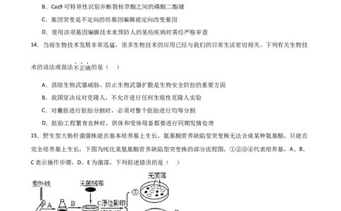 单元检测卷10生物技术与工程（原卷版）_新高考复习资料_2024年新高考复习资料_一轮复习资料_完2024年高考生物一轮复习考点通关卷（新高考）_单元检测卷10生物技术与工程