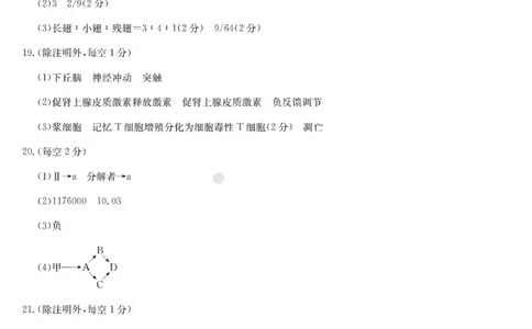 2025-2026学年高三二模考试生物答案_2024-2026高三（6-6月题库）_2026年04月高三试卷_260430山西省三重教育2025-2026学年高三4月二模考试（全科）