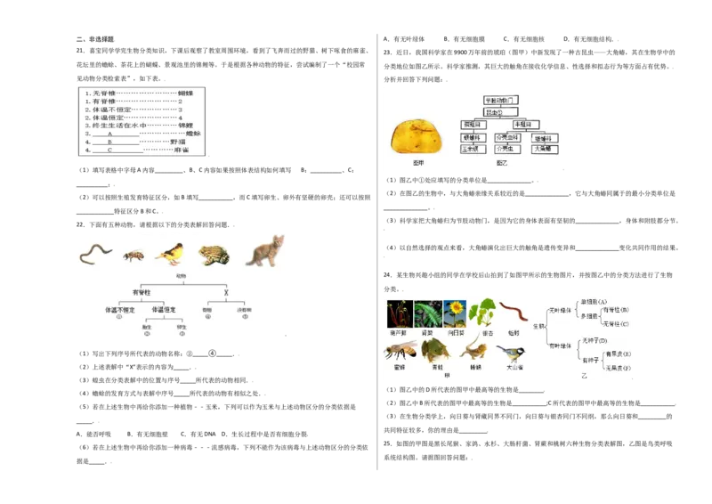 第六单元（第一章）根据生物的特征进行分类（选拔卷）-（人教版）（考试版）_初中全科电子版试卷练习试题_生物_生物8上练习_人教生物8年级上单元试卷48份