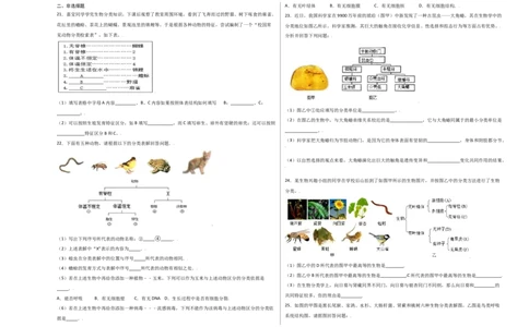第六单元（第一章）根据生物的特征进行分类（选拔卷）-（人教版）（考试版）_初中全科电子版试卷练习试题_生物_生物8上练习_人教生物8年级上单元试卷48份