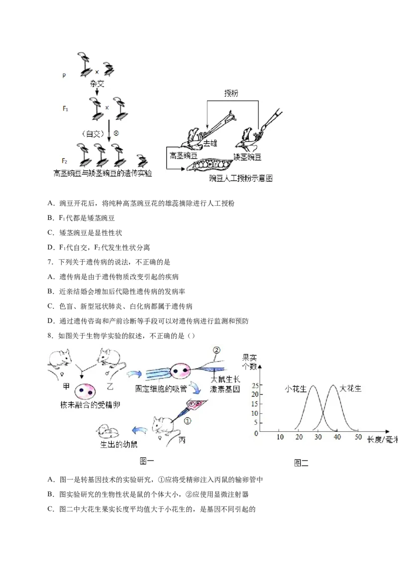 第二单元生物的遗传与变异（提分小卷）-单元测试（人教版）（原卷版）_初中全科电子版试卷练习试题_生物_生物8下练习_人教生物8年级下单元试卷38份