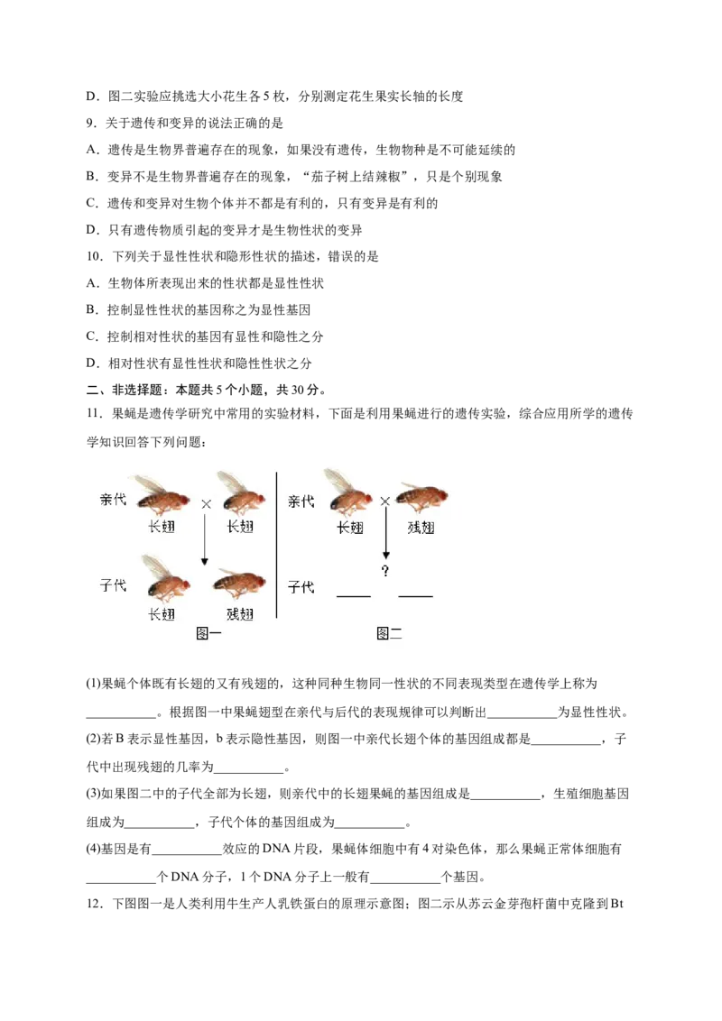 第二单元生物的遗传与变异（提分小卷）-单元测试（人教版）（原卷版）_初中全科电子版试卷练习试题_生物_生物8下练习_人教生物8年级下单元试卷38份