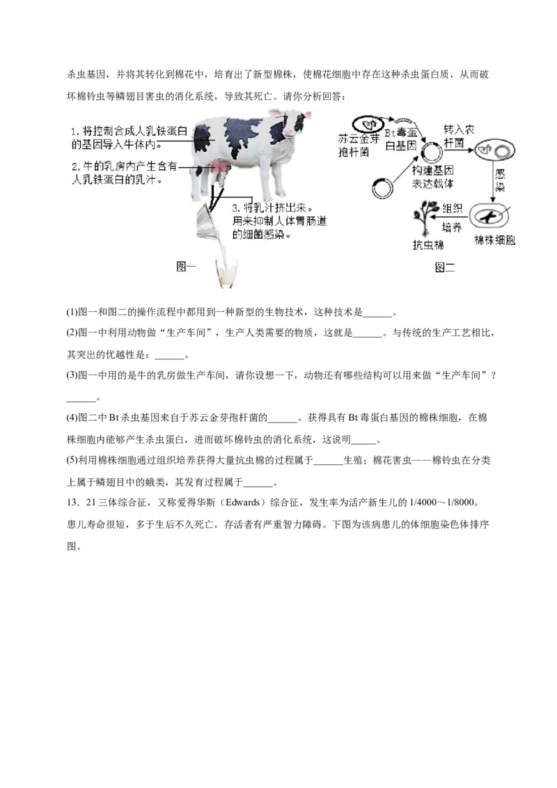 第二单元生物的遗传与变异（提分小卷）-单元测试（人教版）（原卷版）_初中全科电子版试卷练习试题_生物_生物8下练习_人教生物8年级下单元试卷38份