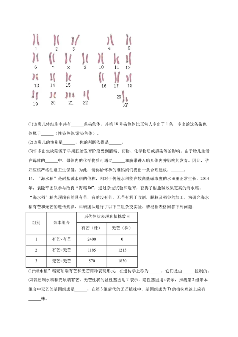 第二单元生物的遗传与变异（提分小卷）-单元测试（人教版）（原卷版）_初中全科电子版试卷练习试题_生物_生物8下练习_人教生物8年级下单元试卷38份