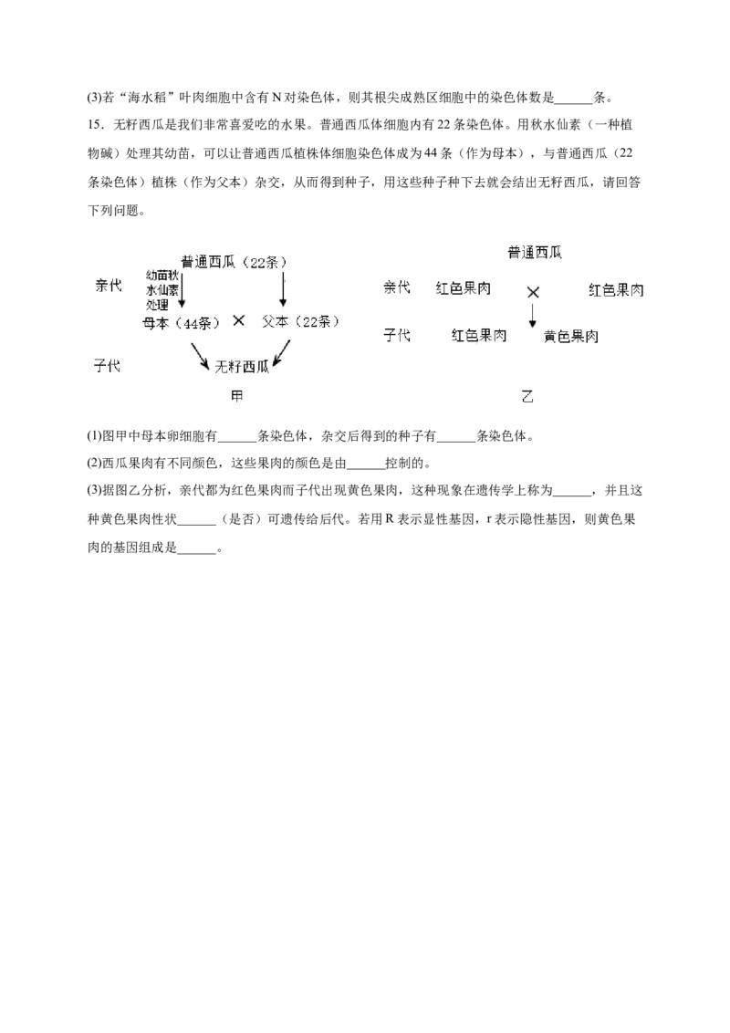 第二单元生物的遗传与变异（提分小卷）-单元测试（人教版）（原卷版）_初中全科电子版试卷练习试题_生物_生物8下练习_人教生物8年级下单元试卷38份