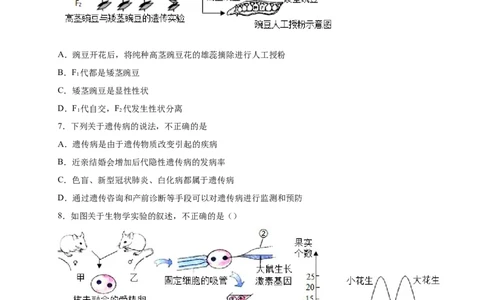 第二单元生物的遗传与变异（提分小卷）-单元测试（人教版）（原卷版）_初中全科电子版试卷练习试题_生物_生物8下练习_人教生物8年级下单元试卷38份
