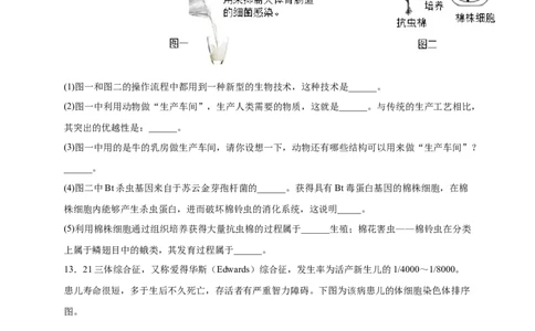 第二单元生物的遗传与变异（提分小卷）-单元测试（人教版）（原卷版）_初中全科电子版试卷练习试题_生物_生物8下练习_人教生物8年级下单元试卷38份