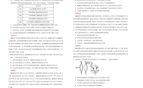 原创（新高考）2021届高考考前冲刺卷生物（十）教师版_新高考复习资料_2021年新高考资料_2021届高考考前冲刺卷（新高考）5.31更新
