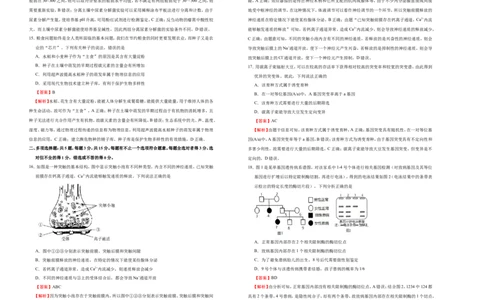 原创（新高考）2021届高考考前冲刺卷生物（十）教师版_新高考复习资料_2021年新高考资料_2021届高考考前冲刺卷（新高考）5.31更新