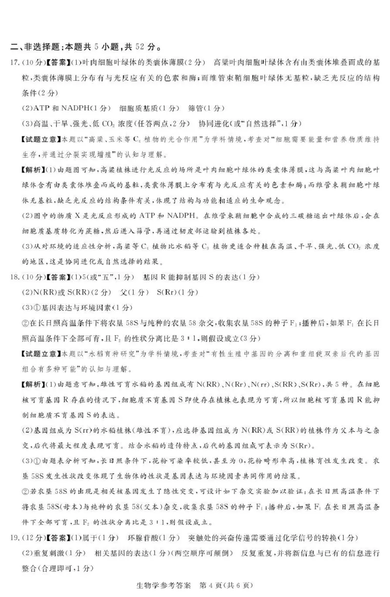 2025-2026学年高三下学期四月阶段检测生物答案_2024-2026高三（6-6月题库）_2026年04月高三试卷_260412河南省湘豫联盟2025-2026学年高三下学期四月阶段检测（全科）