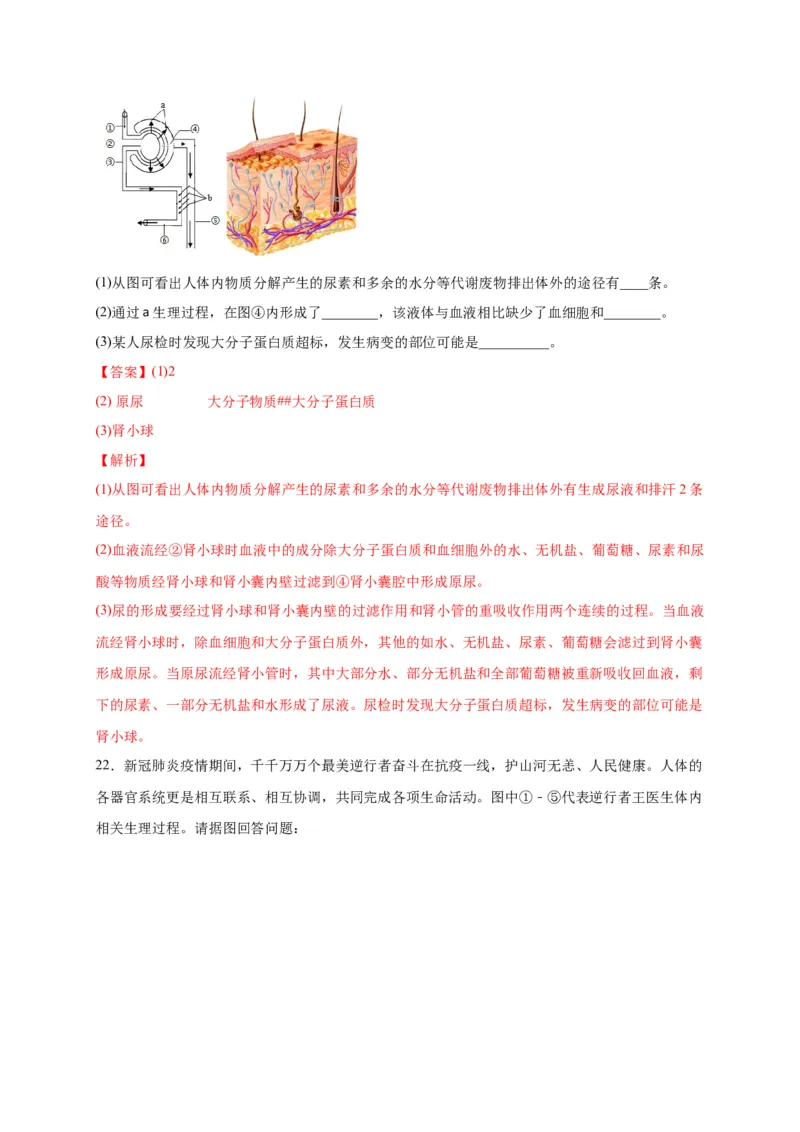 第五单元人体内废物的排出（选拔卷）-单元测试（人教版）（解析版）_初中全科电子版试卷练习试题_生物_生物人教版7下练习_人教生物7年级下单元试卷33份